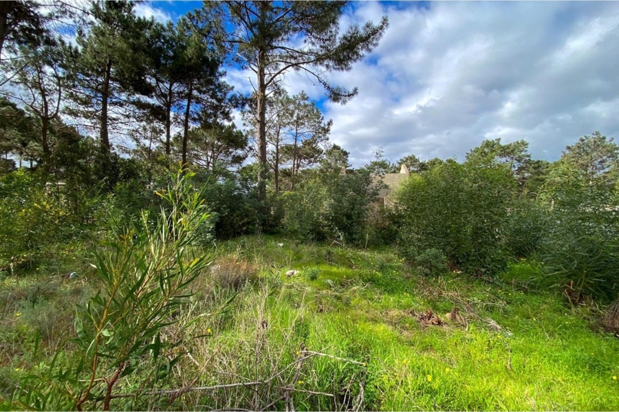 0 Bedroom Property for Sale in Bot River Western Cape